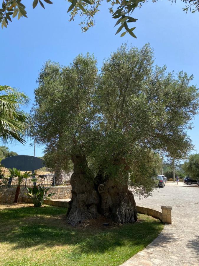 Citta Bianca Country Resort Ostuni Exterior foto